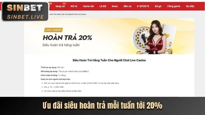 Thị trường cá cược Việt Nam